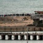 On some summer nights, up to 100 people have gathered on Oamaru's breakwater, outside the Oamaru...
