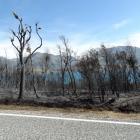 About 150ha of native scrub and vegetation has been destroyed after a fire broke out at Rat Point...
