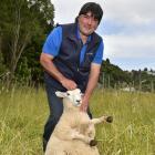 Dunedin City Council animal services officer Tony Newman holds a ewe lamb found in central...