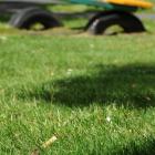 A cigarette butt in the playground in Mornington, Dunedin. Photo by Craig Baxter.