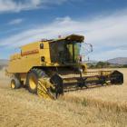 A farming survey highlights facts about pay in the rural sector. Photo from ODT files.