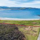 The  beachfront property (marked in red) at Curio Bay which has been put on the market with...