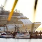 The cruise ship Celebrity Solstice  passes Careys Bay as it arrives in Otago Harbour yesterday....
