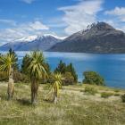 The 45ha development is to be the first at Homestead Bay. Photo: ODT file