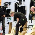 Prime Minister Bill English (left)  competes against Sir David Fagan at the World Shearing and...