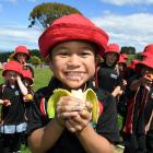 Brockville Full Primary School pupil Tolise Alesana (5) snacks on a banana provided by the Fruit...
