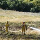 Central Otago firefighters dampen down a paddock after putting out a grass fire on Drybread Rd,...