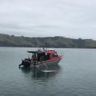 The driver swam to shore after his car went into the harbour today. Photo ODT