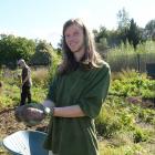 Otago Polytechnic student Luke Facer with potatoes fresh from the Kowhai Grove beds. Photo by...