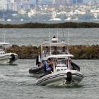 A Sealegs craft enters Auckland's Westpark Marina. Photo supplied.