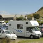 Campervans aplenty parked at Taiaroa Head. Photo by Jane Dawber.