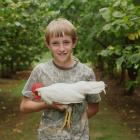Rhys Lilley (then 12), of Lincoln, shows off his champion white Leghorn bantam during filming for...