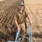 Tom Fowler, of Mosgiel, uses a 262 plough, manufactured by his great-uncle about 160 years ago, at the Otago-Southland regional ploughing competition in Mosgiel yesterday. Photo: Gregor Richardson.