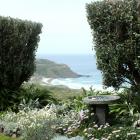 A shelter hedge with a gap cut to frame the coastal view. Photos by Gillian Vine.