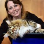 Zena Pigden with her Maine Coon Ishcus Dragon Simara, who won the best long-hair entire cat award...