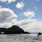 The Dunedin City Council is keen to ‘‘educate all users to ensure enjoyment of our reserves and...