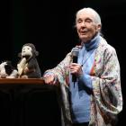British primatologist Dr Jane Goodall speaks at the Regent Theatre last night. Photo: Gregor Richardson