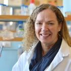 University of Otago biological anthropologist Prof Lisa Matisoo Smith. Photo: Gerard O'Brien
