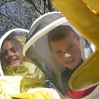 Hampden School pupils Hannah Burkeand Maihi Harrington (both 8) delve into the life of bees....