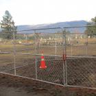 An area where human remains were found during the removal of a pine tree at Cromwell cemetery is...