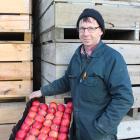 Ettrick orchardist Stephen Darling holds some crisp produce at his packhouse. Photo: Jono Edwards