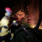 Firefighters spray water to extinguish a forest fire in Castagniers near Nice. Photo: Reuters