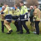 Emergency services personnel and dog owner Cairo Griffin carry injured labrador Maku after he...