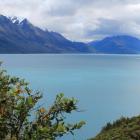 Lake Wakatipu.