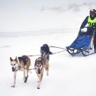 Sledding through snow and near white-out conditions is Aimee  Stoeckel,  of  Australia, and her...