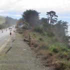 Can you dig it? . . . Diggers at work on SH1 near the Shag Pont turn-off. Photo: Shannon Gillies
