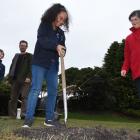 Carisbrook School pupil Myhani Vahua (12) digs a hole in which to plant a  Billington plum tree...