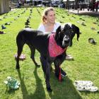 Spook, a great Dane, with owner Colleen Symon, of Dunedin, at the  event in Dunedin held to mark...