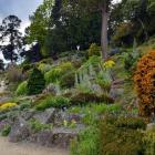 The Dunedin Botanic Garden. Photo: ODT files