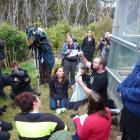 Researchers Anne Besson, Prof Alison Cree and zoology students watch on as Scott Jarvie weighs a...