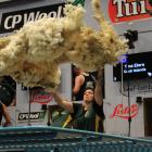 Tina Elers throws a fleece in the World Shearing and Woolhandling Championships team woolhandling...