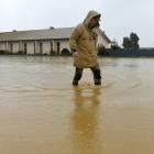 North Taieri resident Harley Quinn walks in floodwater across Saunders Rd outside North Taieri...