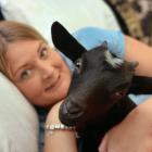 Four-month-old orphan goat Ava snuggles up with Kim Hsiang in Dunedin yesterday. Photo: Stephen...