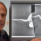 Inoperable injuries ... St Kilda Veterinary Centre veterinarian Dr Tony Malthus holds an X-ray of...
