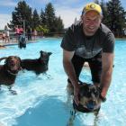 Chris Nolan, of Alexandra, takes his dog Zoe for a swim at the ``Soggy Doggy Splash'' at Molyneux...