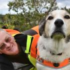 LandSAR volunteer Dermot Mayock and his dog, Fin, who has retired after years of search and...