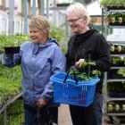 Carol and John Sutherland, of Balclutha, imagine their new garden while shopping at Nichols...