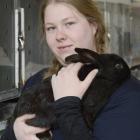 A pesky black rabbit responsible for damage to plant life at the Dunedin Botanic Garden has been...