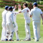 Otago players celebrate the wicket of Ross Taylor, albeit in vain. Photo: Peter McIntosh
