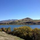 dear_diary__went_for__yog_walk__around_lake_hayes__50cd53d32d.JPG