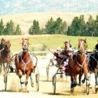 Driver Brad Williamson salutes as Springbank Sam (centre) beats Jag’s Invasion (driven by eldest...