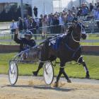 Never in doubt ... Co-trainer and driver Mark Purdon salutes the crowd after driving champion...