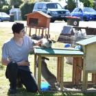 Amelia Seals’ flatmate, Joshua Town-Treeweek, spends his afternoon looking after the 19 rabbits...