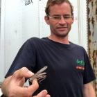 Otago Locusts founder Malcolm Diack shows alocust on his Dunedin farm at Lookout Point. PHOTO:...