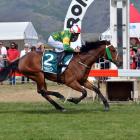 Patrick Erin signals he is on track for a Wellington Cup berth by beating Flytime at Cromwell...
