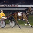 Bonnie Joan and Dexter Dunn race away to a national record win at Forbury Park on Thursday night....